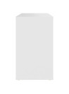 Side Cabinet White 60x30x50 cm Engineered Wood
