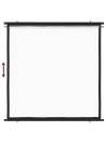 Projection Screen 50" 1:1