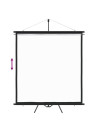 Projection Screen with Tripod 63" 1:1
