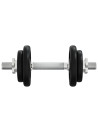 Dumbbell with Plates Set 40 kg Cast Iron & Chrome Plated Steel