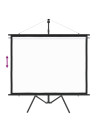 Projection Screen with Tripod 60" 4:3