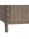 Outdoor Chairs with Cushions 2 pcs Poly Rattan Brown