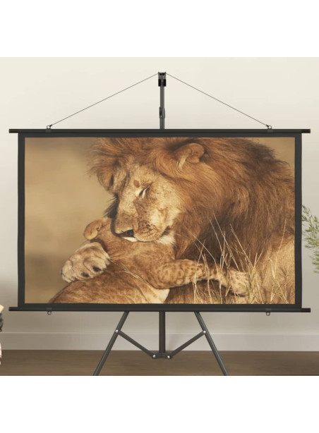 Projection Screen 60" 16:9