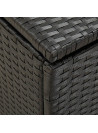 Garden Storage Box Poly Rattan 100x50x50 cm Black