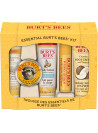 Burt's Bees Essential Burts Bees Kit by Burts Bees for Women - 5 Pc Kit 1oz Body Lotion with Milk and Honey, 0.3o