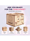 Space Box - Birch Wood Puzzle Box for Teens, 3D Puzzle for Adults, Advanced Brain Teaser Puzzle, Unique Gift & Decoration