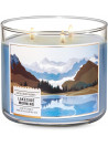 Bath and Body Works White Barn Lakeside Morning 3 Wick Candle 14.5 Ounce Summe